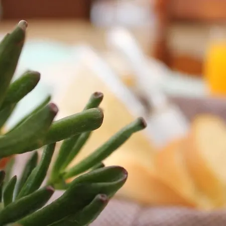 호텔 Santa Irini 2*