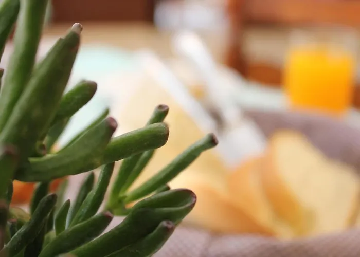 Hotel Santa Irini 2*